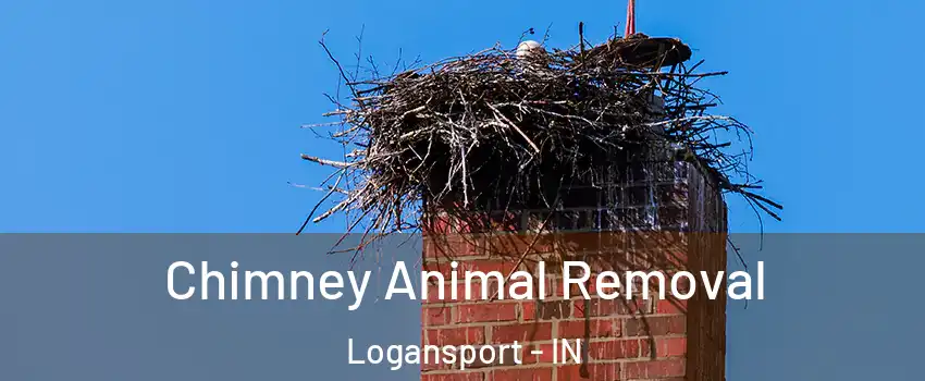  Chimney Animal Removal Logansport - IN