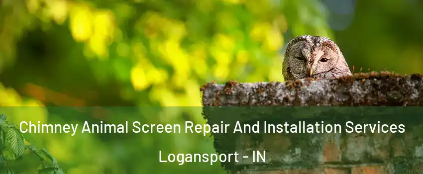  Chimney Animal Screen Repair And Installation Services Logansport - IN