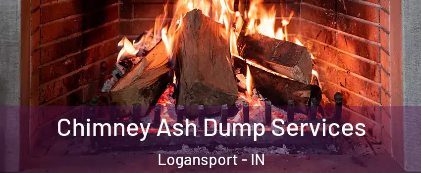  Chimney Ash Dump Services Logansport - IN