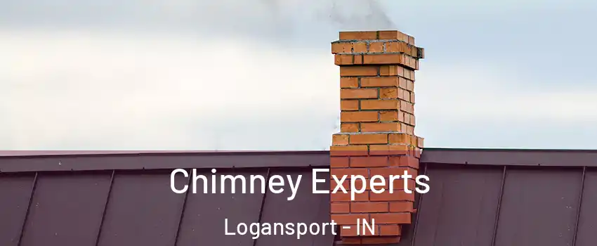  Chimney Experts Logansport - IN