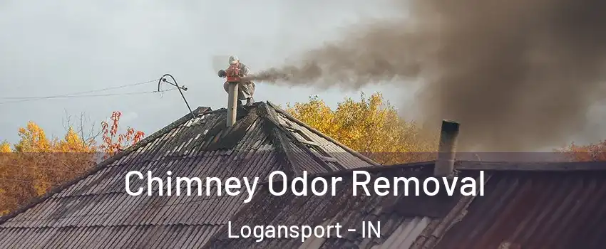  Chimney Odor Removal Logansport - IN