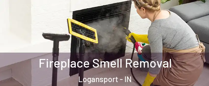  Fireplace Smell Removal Logansport - IN
