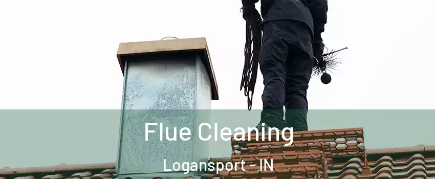  Flue Cleaning Logansport - IN