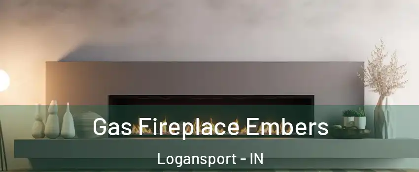  Gas Fireplace Embers Logansport - IN
