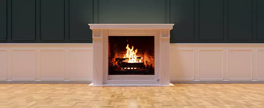 Napoleon Electric Fireplaces Inspection Service in Logansport, Indiana