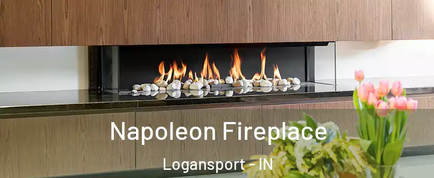  Napoleon Fireplace Logansport - IN
