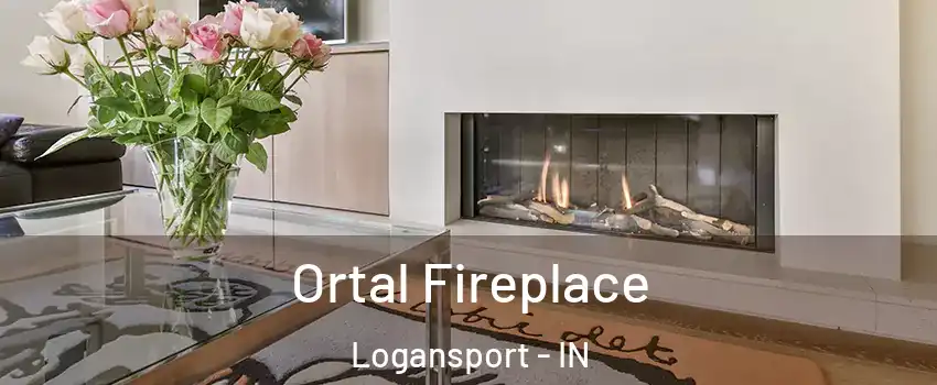  Ortal Fireplace Logansport - IN